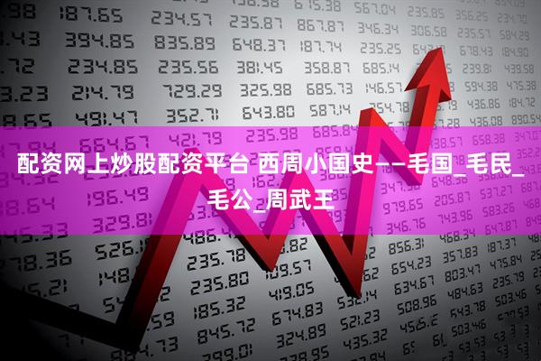 配资网上炒股配资平台 西周小国史——毛国_毛民_毛公_周武王